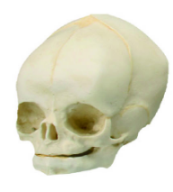 1752733469413.png
