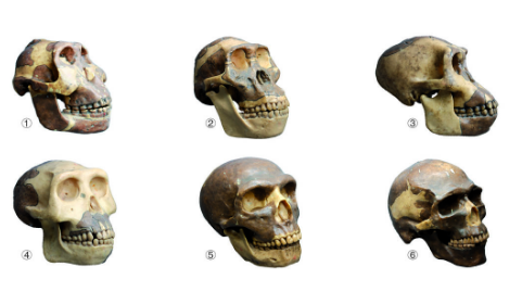1752799001423.png