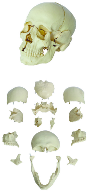 1752799492506.png