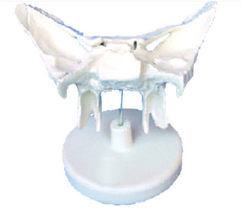 1752801172193(1).png