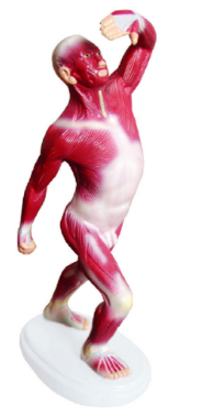 1752819187835.png