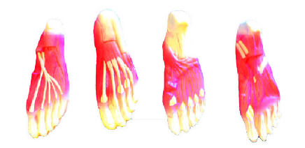 1752819661258.png