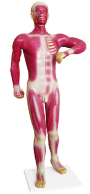 1752819889048.png