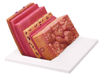 1752822152034.png