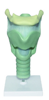 1752903614998.png