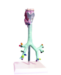 1752905225779.png
