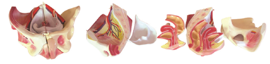 906329ff-88d0-4550-ae8f-5083cb3d768e.png