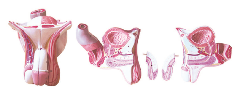 c39e9a76-4c9c-4b30-af60-cef5b20a6807.png