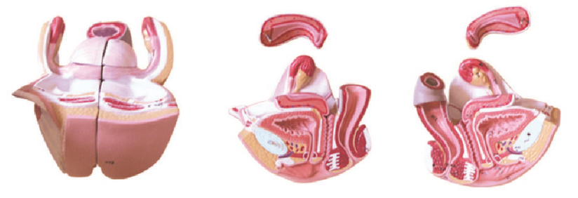 c243f9d7-ce5e-4122-af3e-ca3d80c79cb3.png