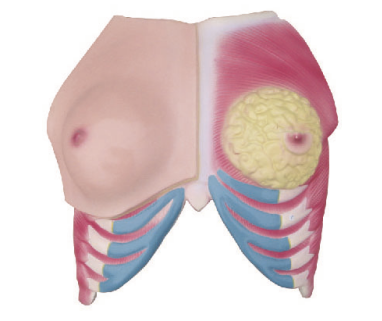 d19c95bb-22ff-4d5a-807f-6b60482b1e3f.png