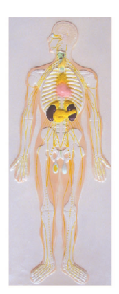 8f53dbc2-bfae-4c35-9f98-842f774d1895.png