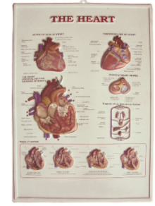 04c526ee-f8c0-49ad-8fc5-cf4a20d39833.png