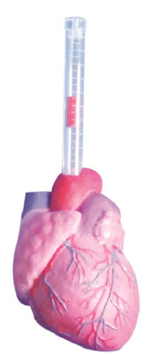 77c2e945-34f1-4209-ab53-1117306f3588.png
