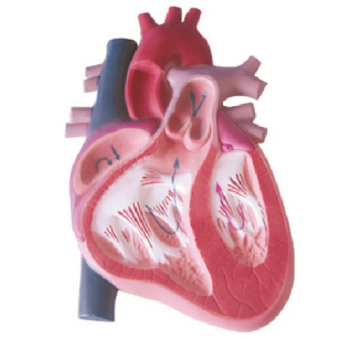 28da0bfc-2495-4108-a857-0cb40da5a4cc.png