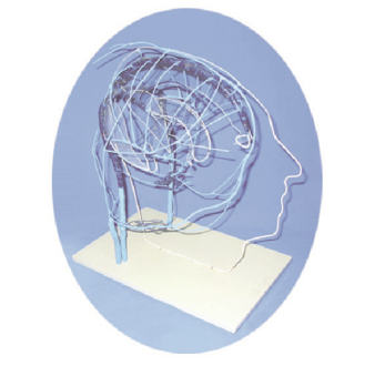 0e5796b4-77af-40e3-80ee-2a9cd3d70cf7.png