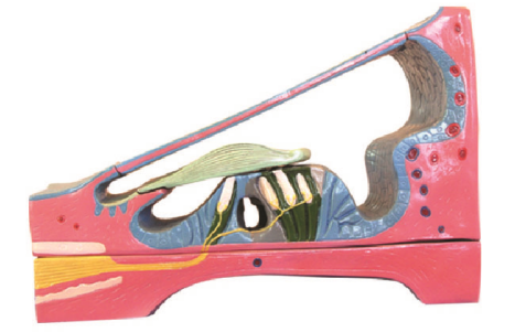 7f1a9d16-5d18-4db2-b1ef-4681cf88c827.png