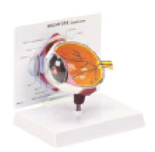 14cb13c4-2e6f-4c93-981e-5bb2d9229a08.png