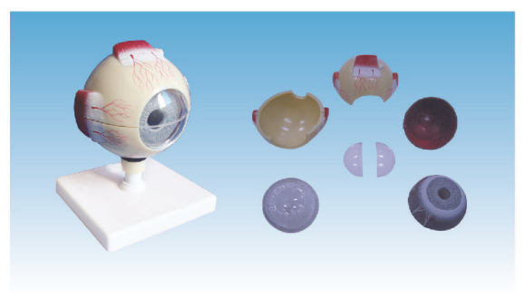 c3c1821b-fe74-402e-8b24-0988da819906.png