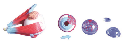 5788968c-183b-4331-9b97-de94e9ef18a9.png