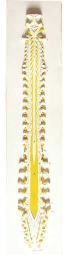 7889010d-d107-4ce6-b4c0-8d5f88c47753.png