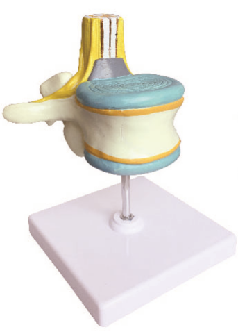 d22ee598-3dec-449f-8288-8583c4d0c526.png