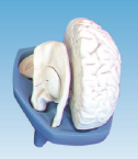 d12e2883-247e-4357-bf17-75a44b5bc0c4.png