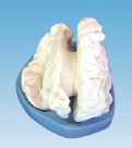 18bc0835-b327-4aab-854c-4bf67d09c2b0.png