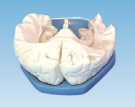 9f5d8975-8f79-4f83-8267-f6f7945d9055.png