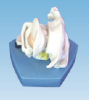 1612cfb5-e489-4507-8cc6-dd62024aa305.png