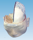 9d9fdd1e-fa2a-488f-a071-17a750e3381f.png
