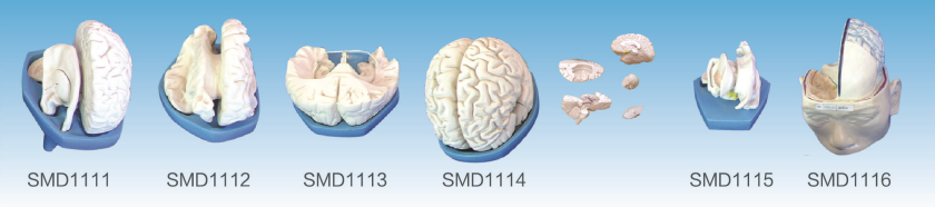 4eb7f154-62b3-4252-a366-d546d2802d95.png