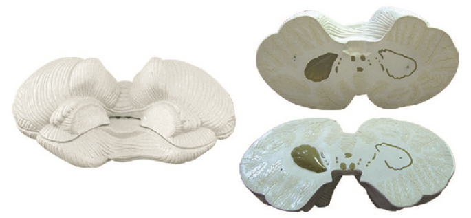 c809a2db-0037-4be8-bf52-0c9ce90c79bb.png