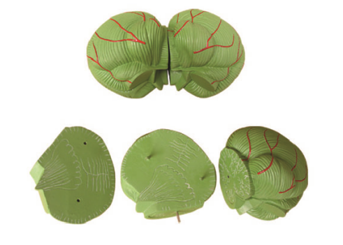 118d7711-ab4a-4ff3-99da-ed7ad65f07fd.png