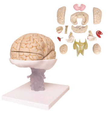 6ffb8767-804c-4abb-8a82-e50e4d81b417.png