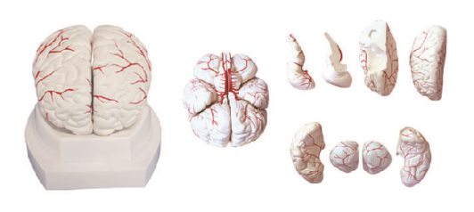 8f474eeb-2eef-44c8-a7fe-5b2edec68991.png