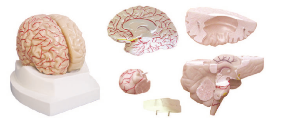 e144a1f8-d0a2-48c8-b3e4-ceab26efd73b.png