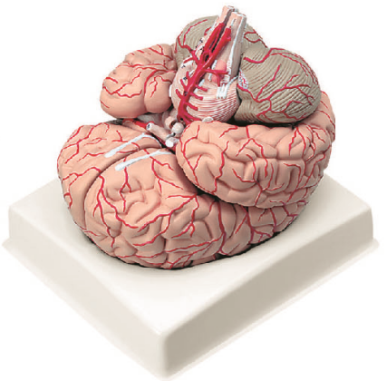 0470bc0c-40cc-4a98-9334-8aa079eeb0ec.png