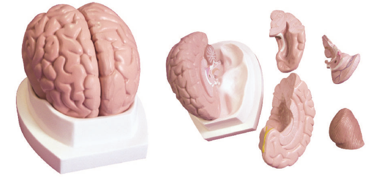 0749e4ef-44cc-4677-909d-f5a72eeacae1.png