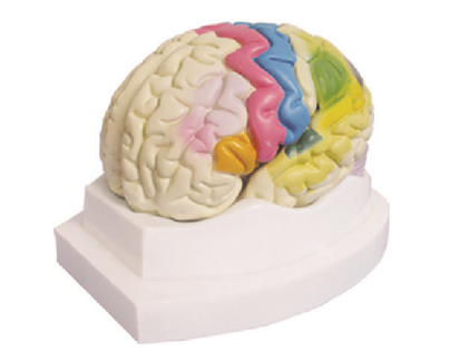 0b9c62ef-0b94-483c-9dd3-68fdc27a2e6b.png
