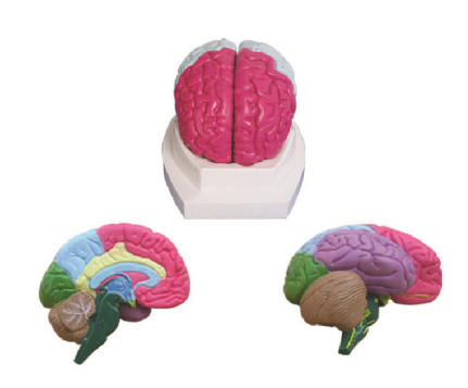 3f1b6a79-5777-4558-abc8-efacc3440d51.png