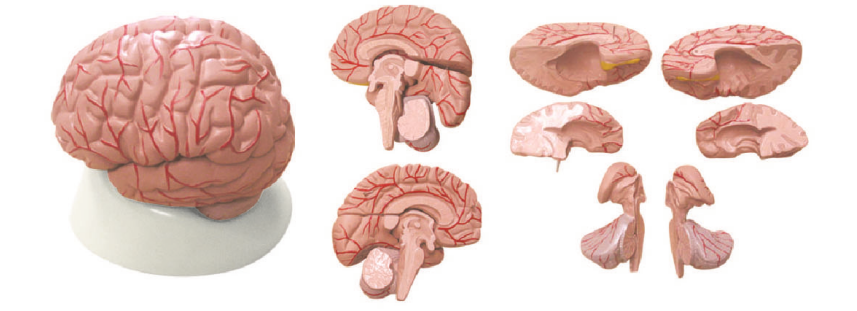 f435f203-a9ec-4c30-b2b3-d1bd8447ecec.png