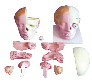 3b8202cd-09b4-45d0-95dd-f3a4ca54d694.png