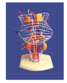 63fca523-6956-4f8b-adc3-f5bb45f0f39d.png