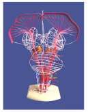 5eb45431-5543-44b1-8815-0a0696c5d162.png