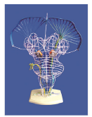 b4873c14-7da2-49ed-9192-f2c40bf026cc.png