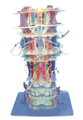 ded0d402-340f-4dff-9fc6-a83b76d17e80.png