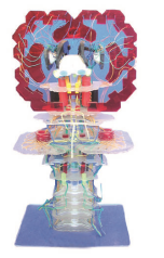 ecda7696-e4c1-4a1a-997c-b0fa0dfdb853.png