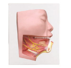 ce94db13-31ff-4daf-89b0-265ef136563f.png