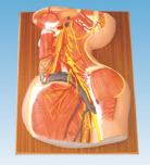 051aed31-0c90-4079-82bb-4276328a80c5.png
