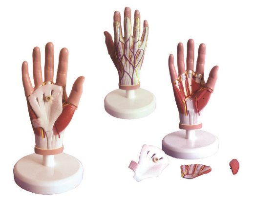 71b1dcdb-e3c1-4e05-8306-2944ae92aa13.png